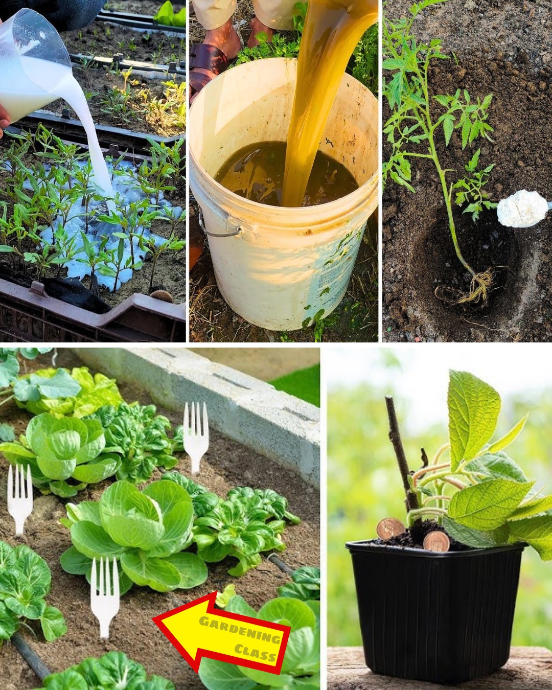 33 Ingenious Gardening Hacks You Need to Try