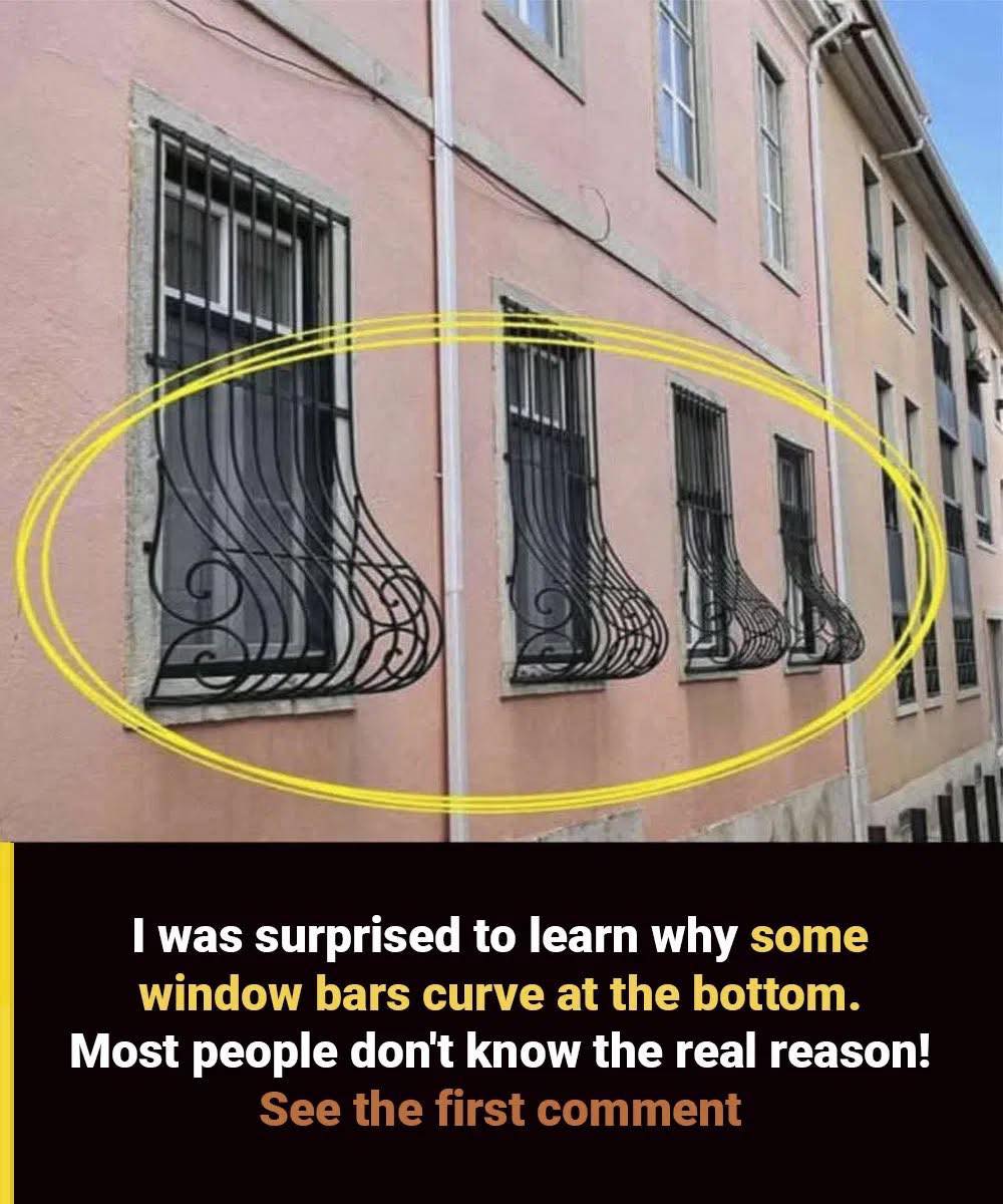 Window Grills: The Overlooked Upgrade That Could Protect Your Home and Beautify It Too