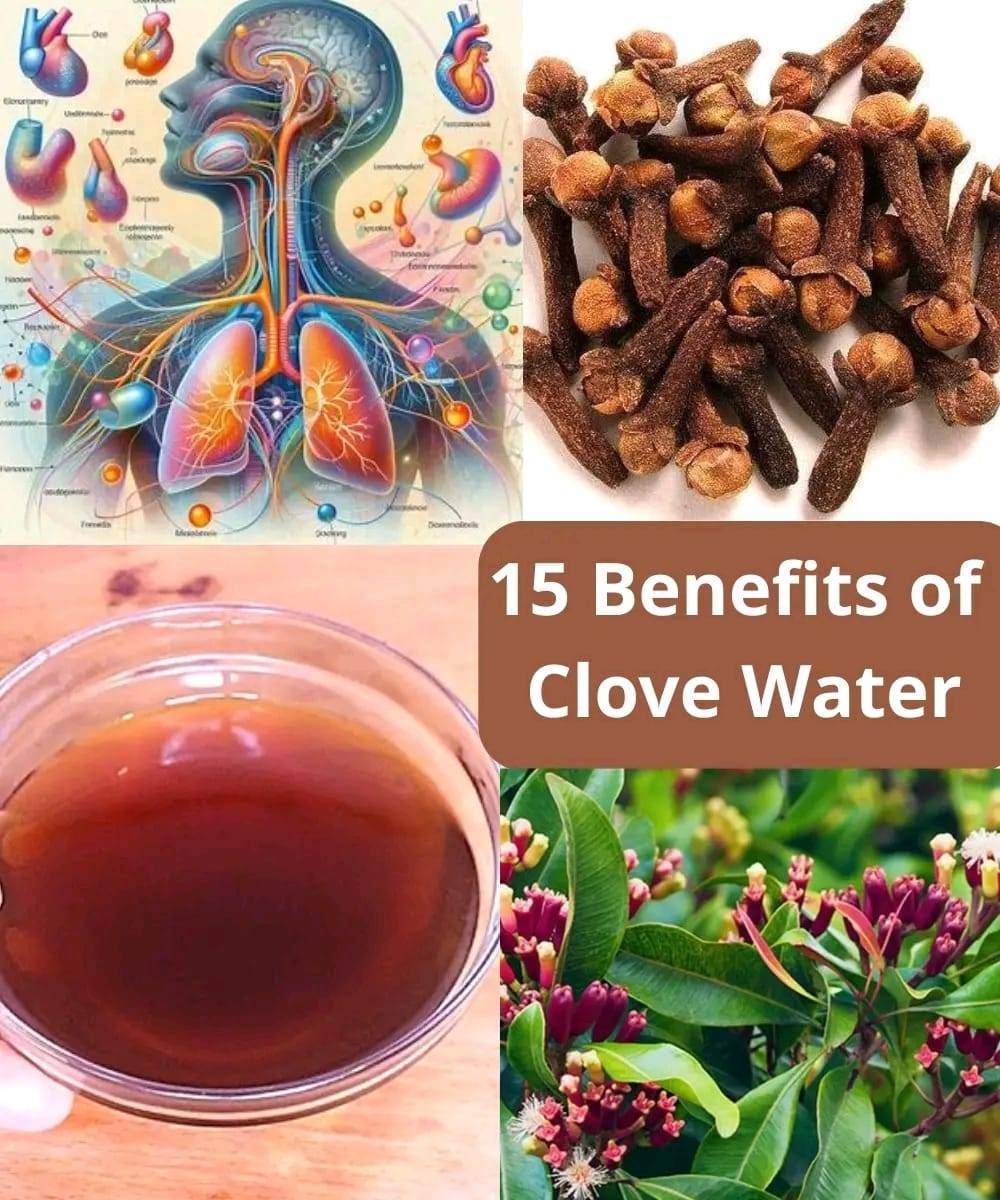 Everyone loves clove water, but most people underestimate the incredible benefits it offers