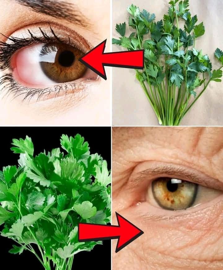 The Benefits of Drinking Parsley Tea for 7 Days Straight