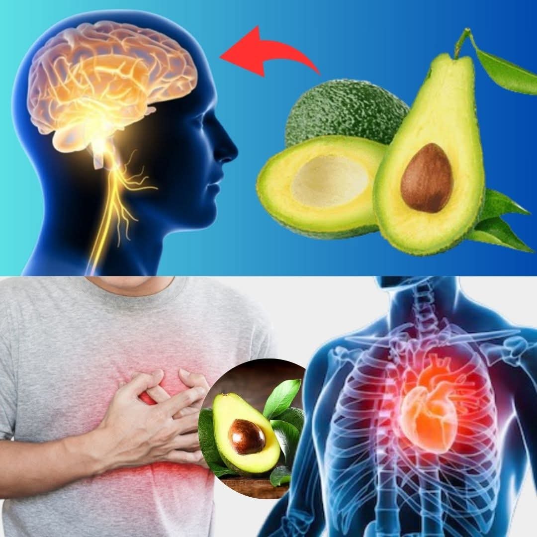 Avocado After 50: Here’s What Happens After 7 Days of Use