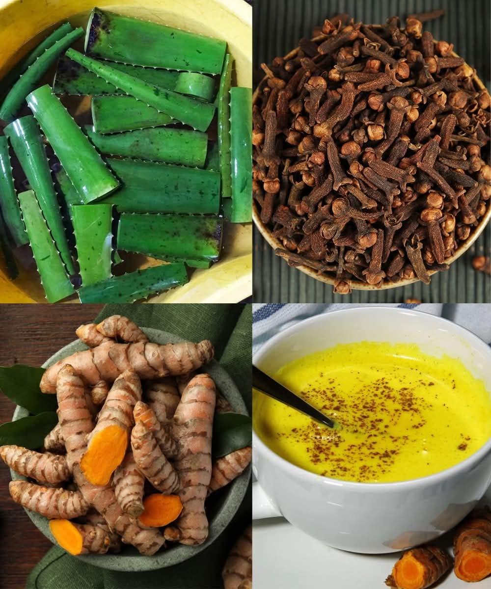 Powerful Home Remedy by Dr. Frank Suárez: A Natural Solution for Cancer, Diabetes, High Blood Pressure, and Poor Circulation