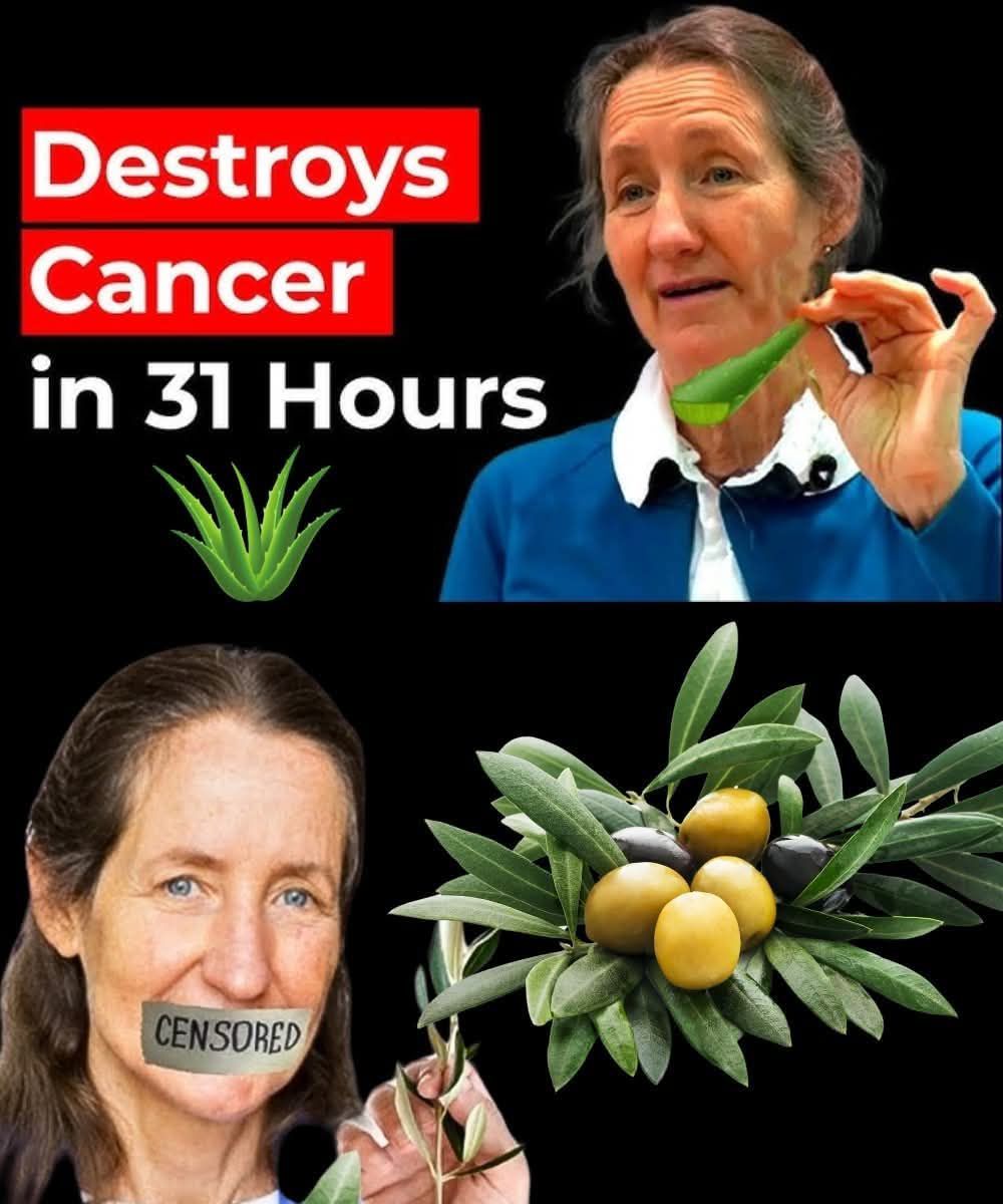 🌿 A Natural Path to Healing: Barbara O’Neill’s Holistic Approach to Cancer Support