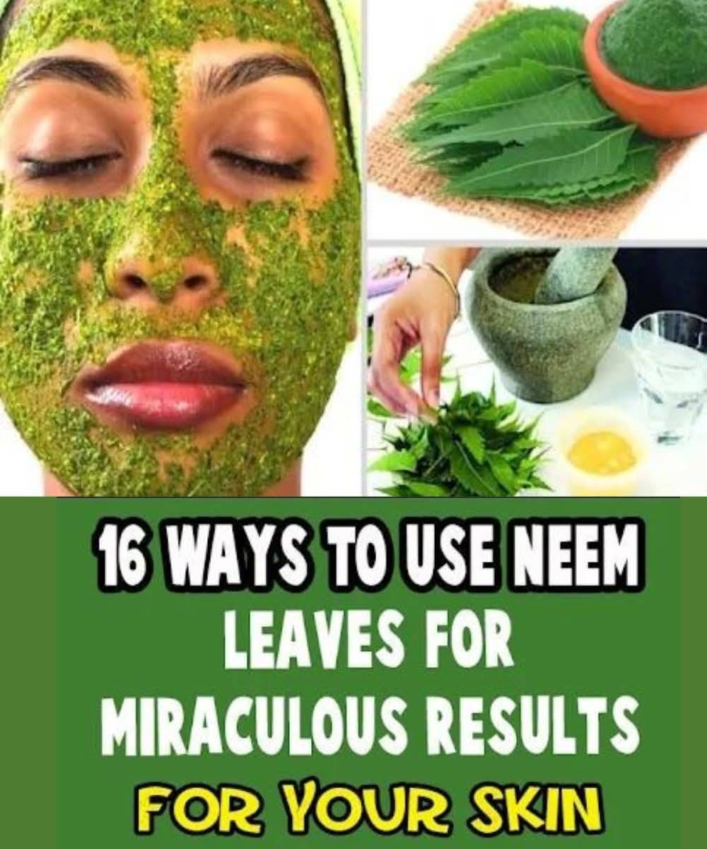 16 Ways to Use Neem Leaves for Miraculous Results for Your Skin