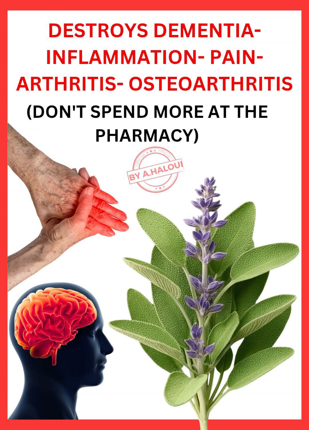 Sage: A Natural Remedy for Brain Health, Inflammation, and Joint Pain