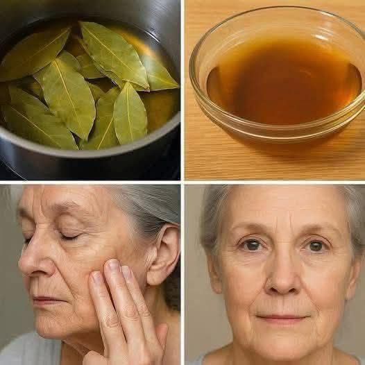 Bay Leaf: The Natural Wrinkle Eraser for Ageless Beauty!