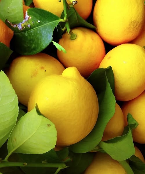 Doctors reveal that consuming lemon causes in.