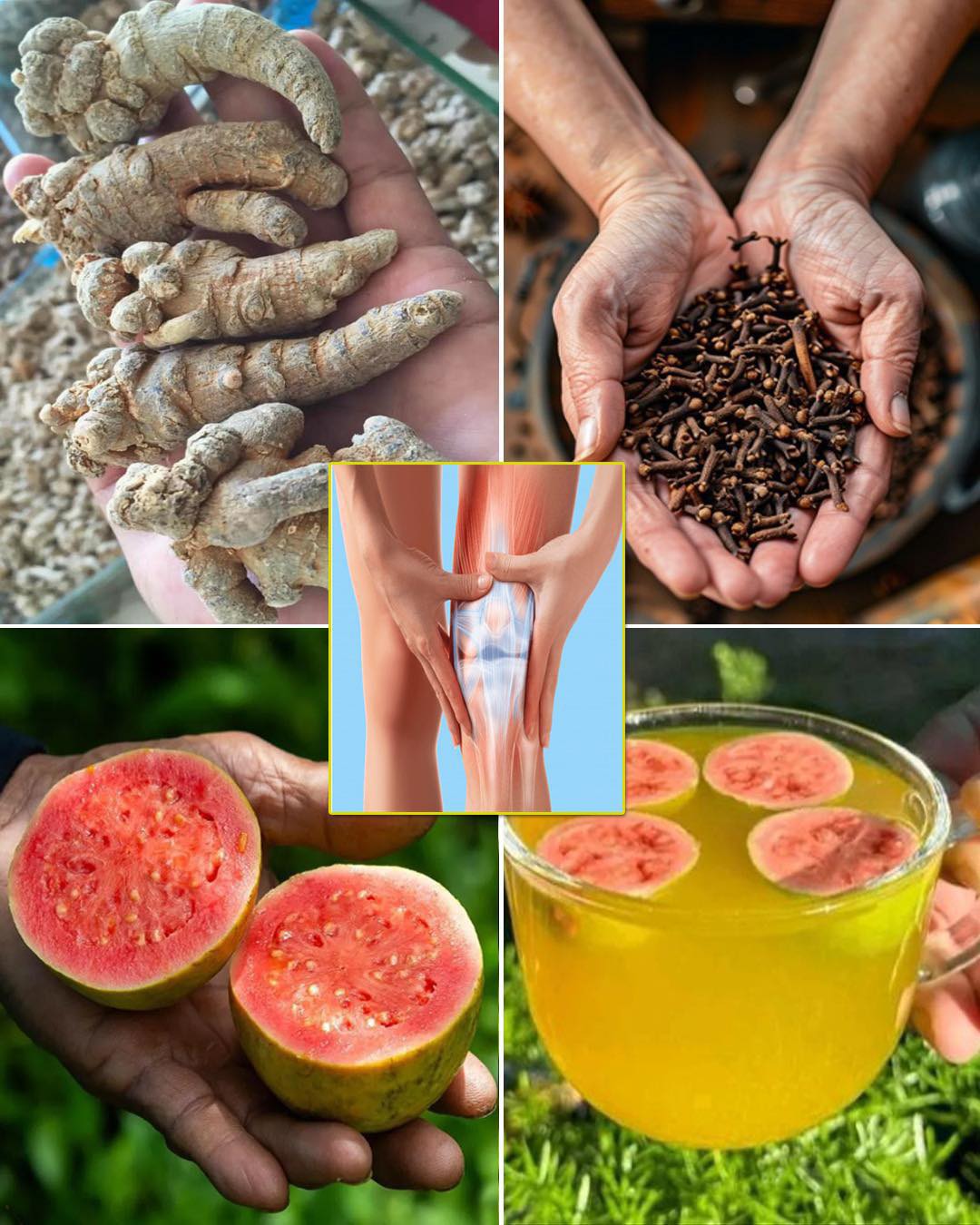 The Ultimate Healing Tonic: Ginger, Guava, Cloves & Turmeric in One Powerful Cup