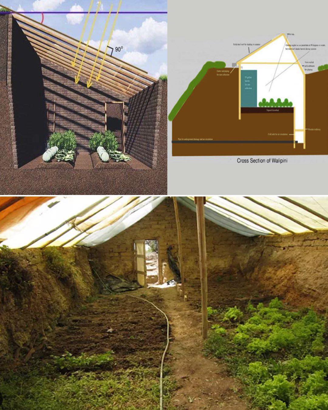 Grow Food Year Round in a Underground Greenhouse