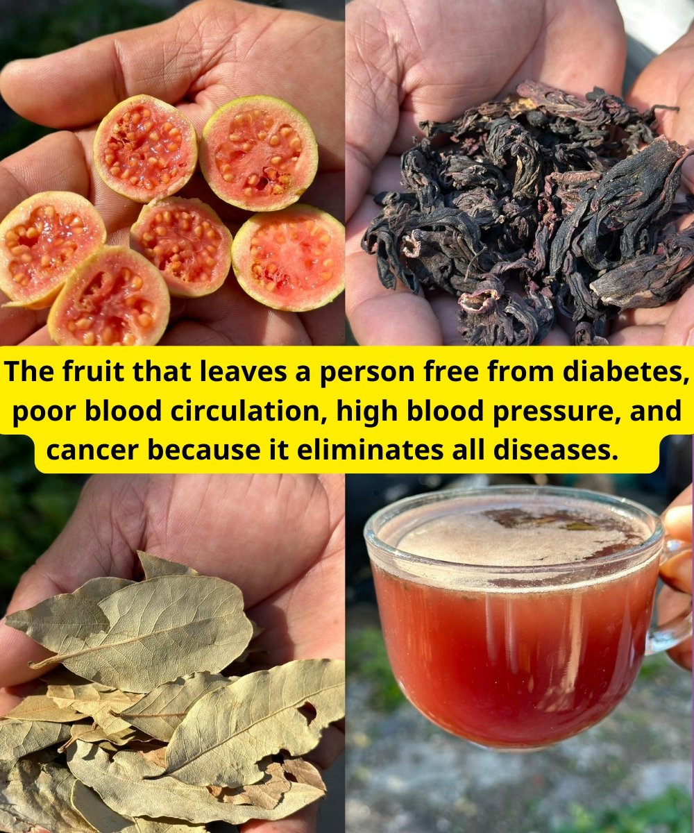 The Fruit That Could Transform Your Health: Diabetes, Poor Circulation, High BP & Cancer?