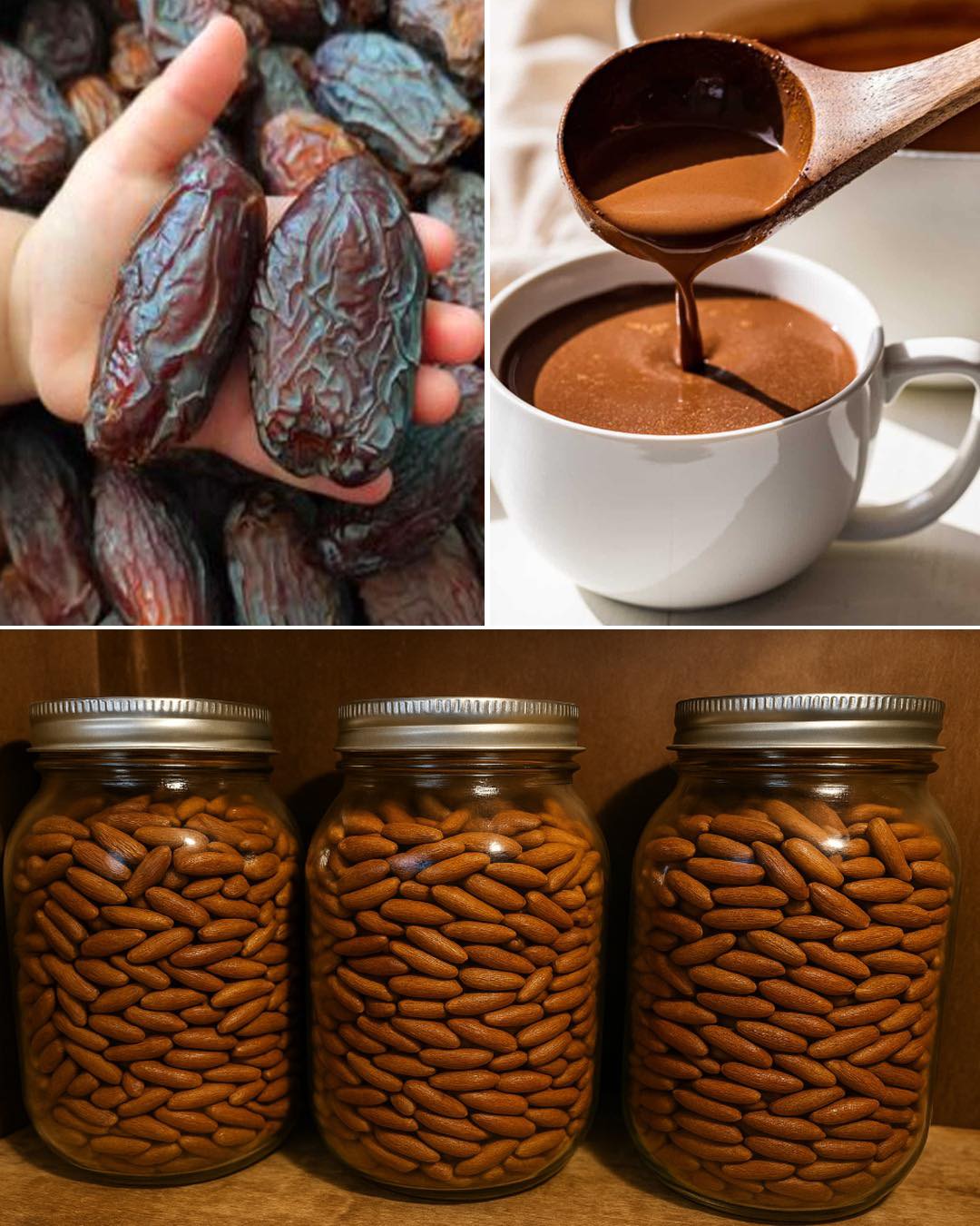 Date Seeds Benefits: The Superfood Ingredient with incredible health benefits
