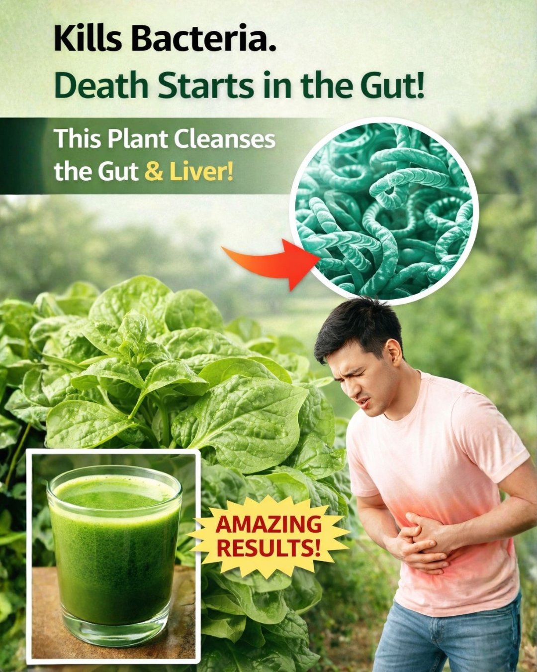 This Green Plant Naturally Cleanses the Intestines and Supports Liver Health