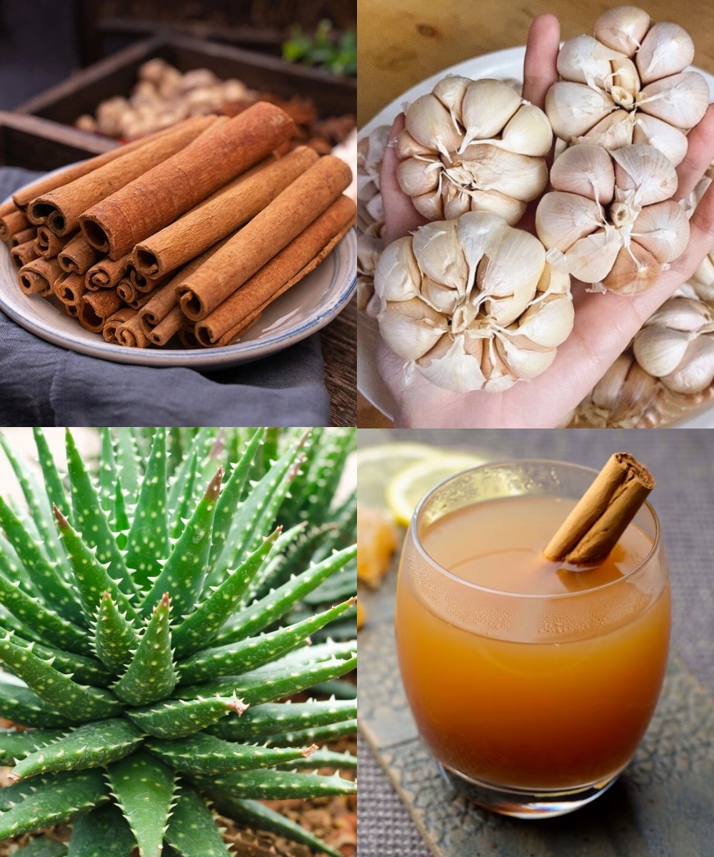 🌿 No one should suffer from cancer or lose their sight: the natural remedy that strengthens your eyes and boosts your immune system