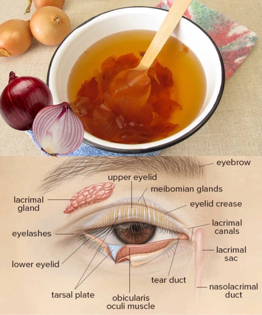 Onion Drink for Eye Health: Nutritional Support from the Inside Out
