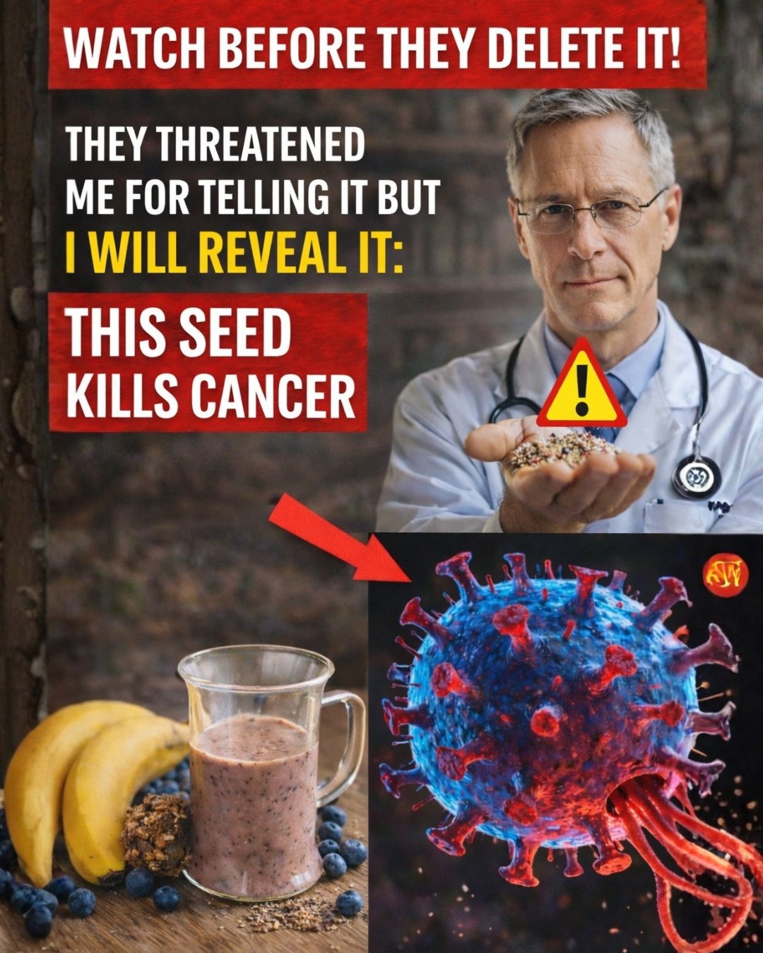 Discover the Hidden Power of 6 Seeds Nature Designed to Protect Your Health