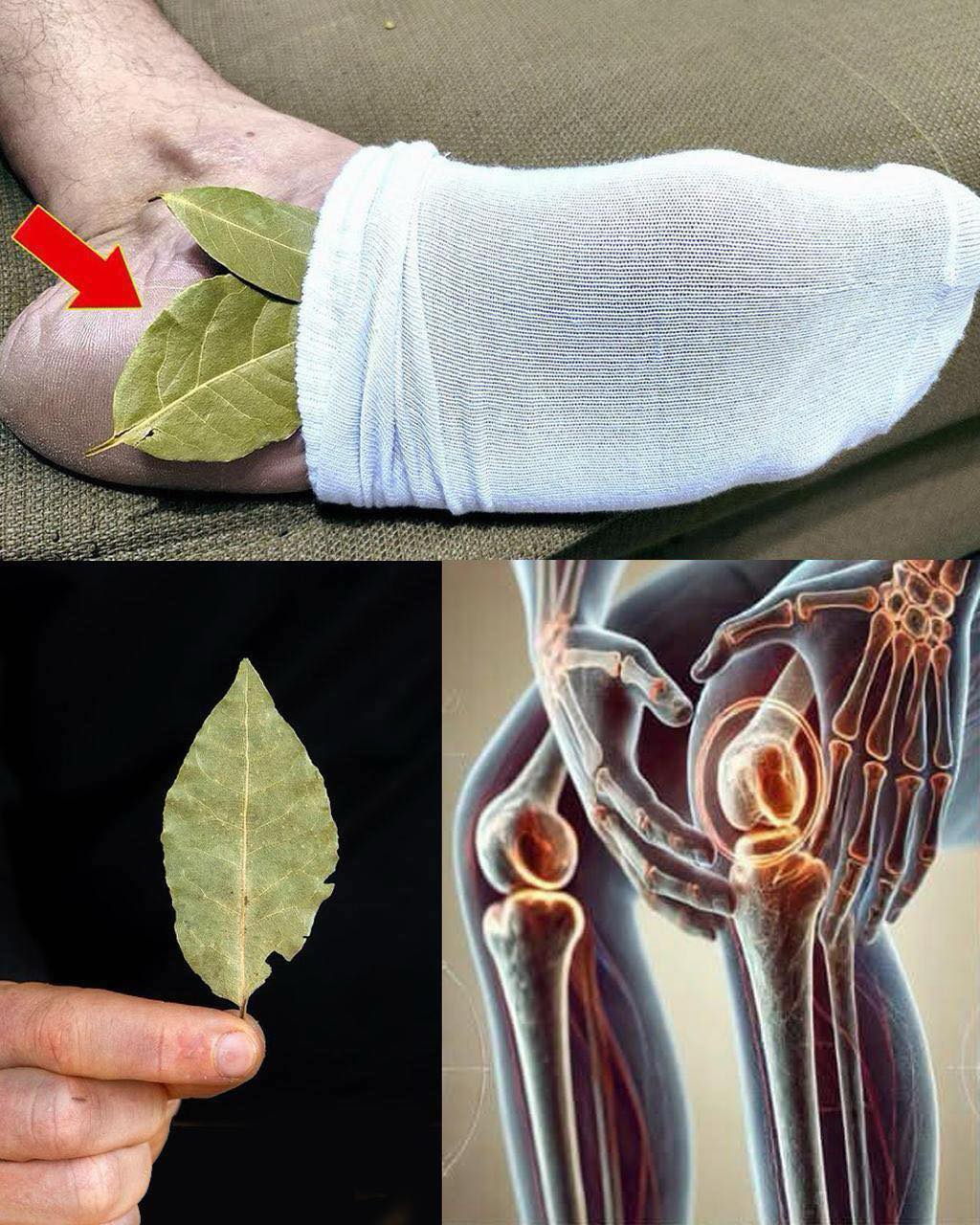 Discover the Surprising Benefits of Putting a Bay Leaf in Your Socks