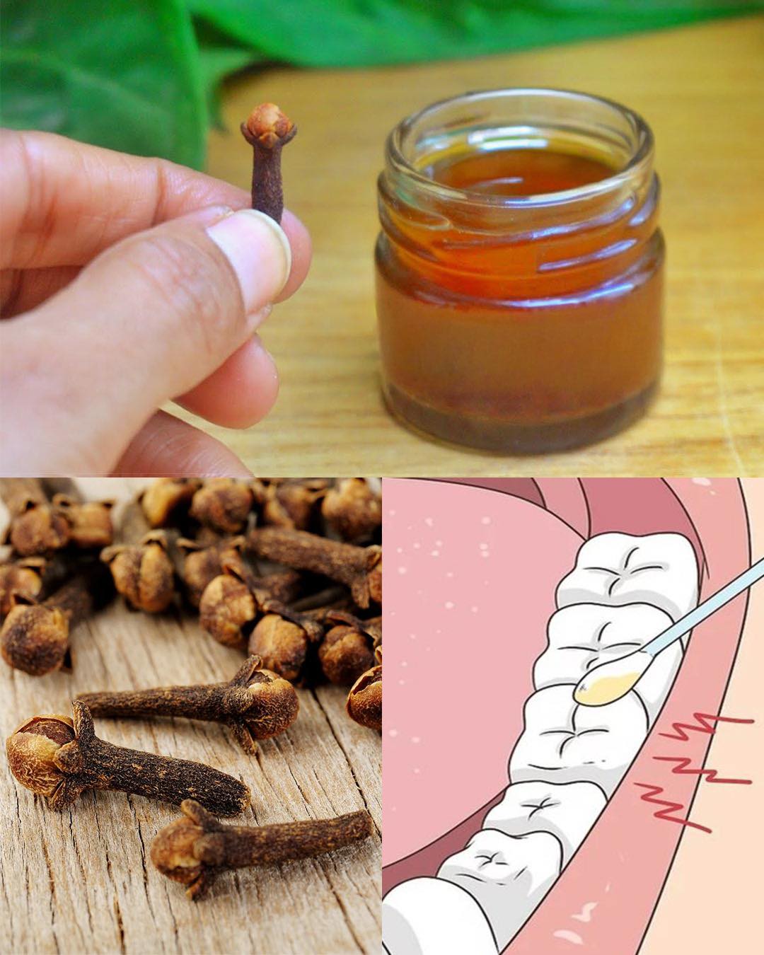 How to Make Homemade Clove Oil and the Powerful Benefits It Offers