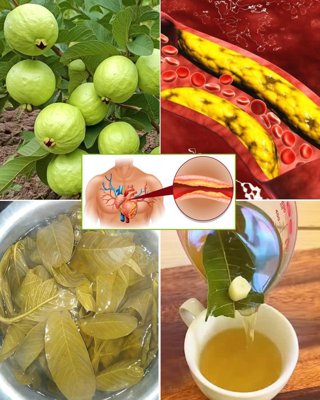 The Best Tea for Mornings and After Dinner: A Powerful Blend for Health