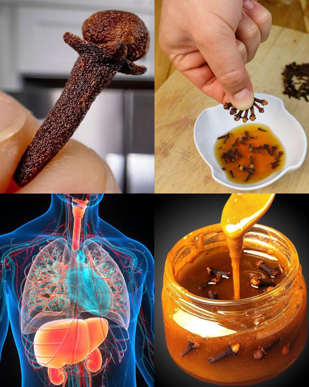 Clove-Infused Honey Power: A Natural Wellness Booster You Can Make at Home