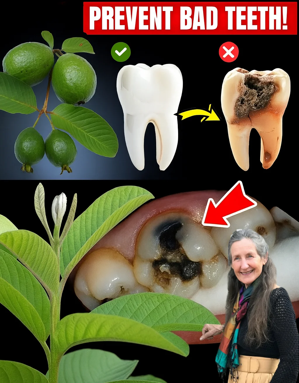Top 3 Ways to Treat Tooth Decay with Guava Leaves: Simple and Cost-Effective