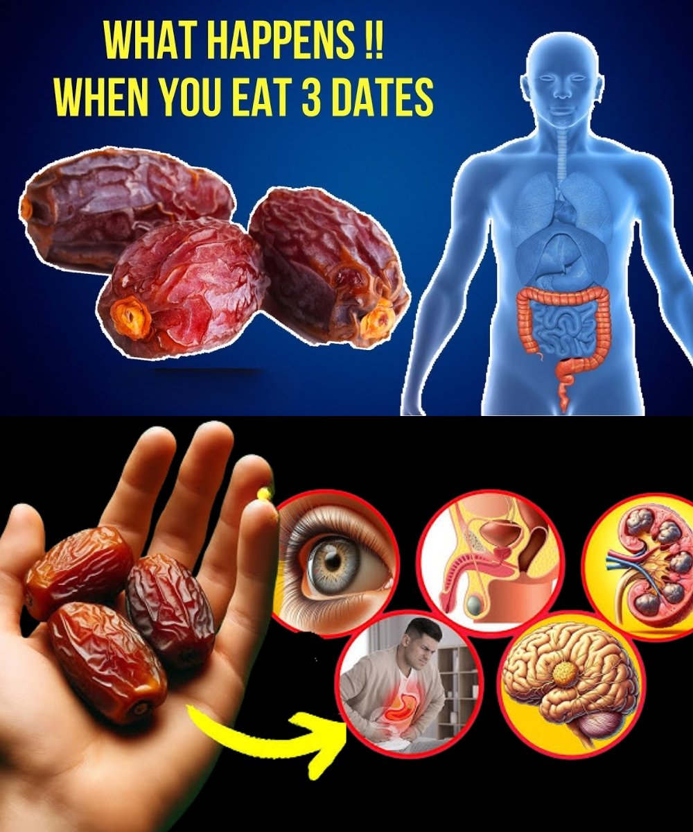 🌴 12 Surprising Benefits of Eating Just 3 Dates a Day – A Sweet Boost for Your Health