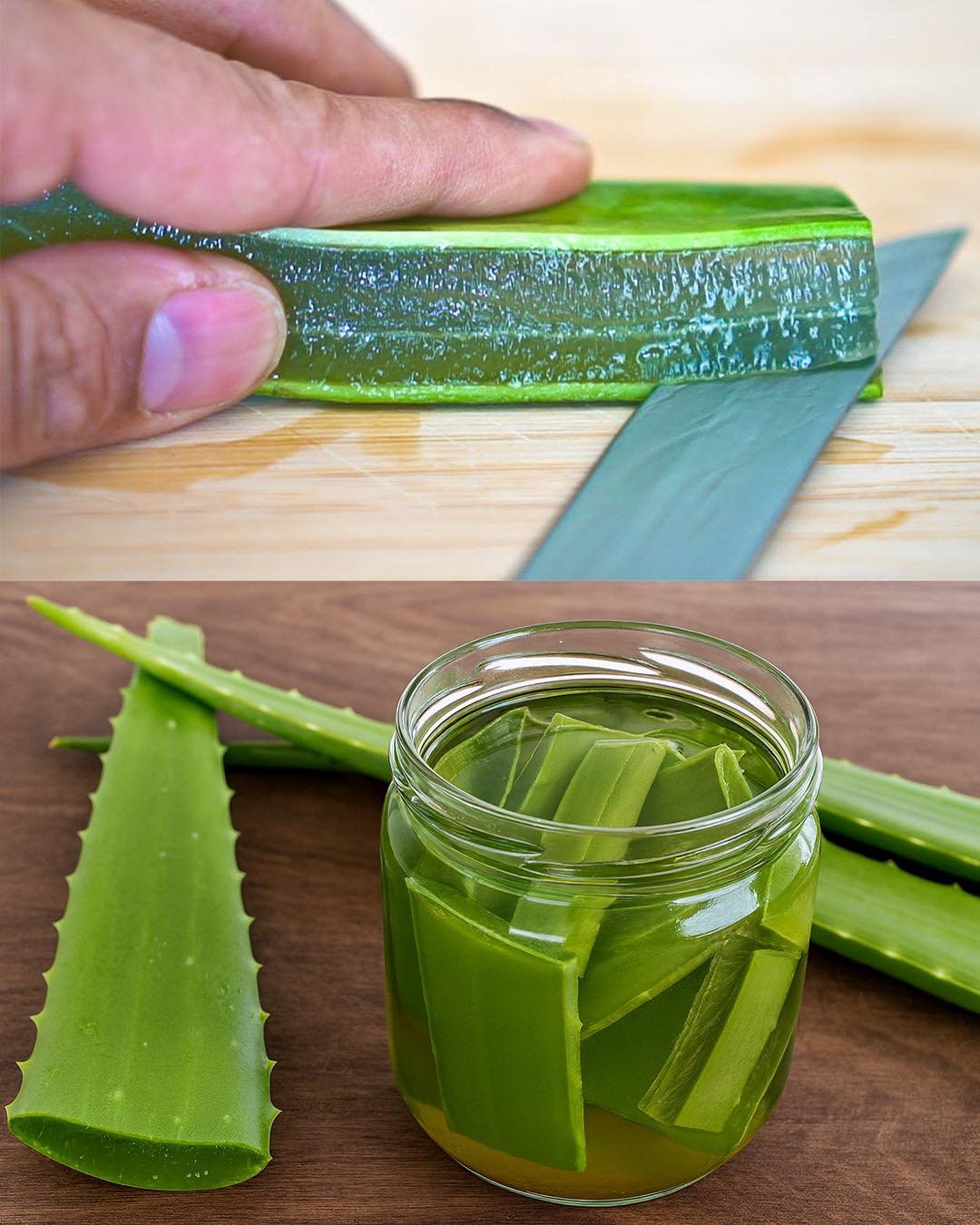 The Aloe Vera Gel Is Not the Only One Very Useful