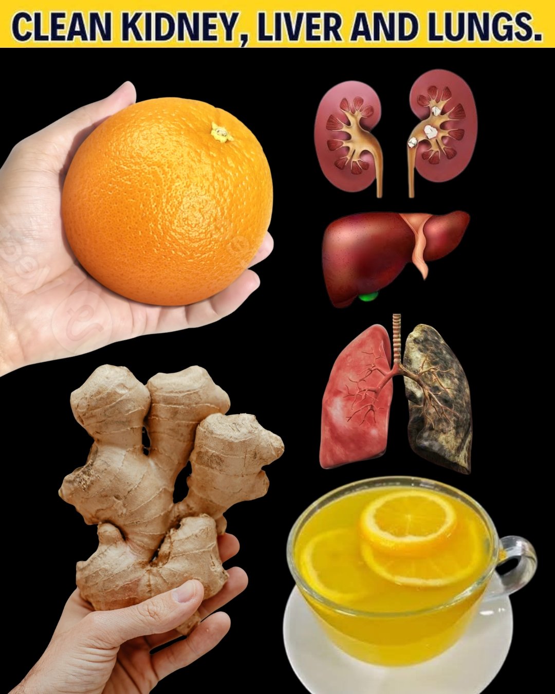 Lemon Ginger Orange Infusion: The Cleansing Drink for Kidney, Liver, and Lung Wellness