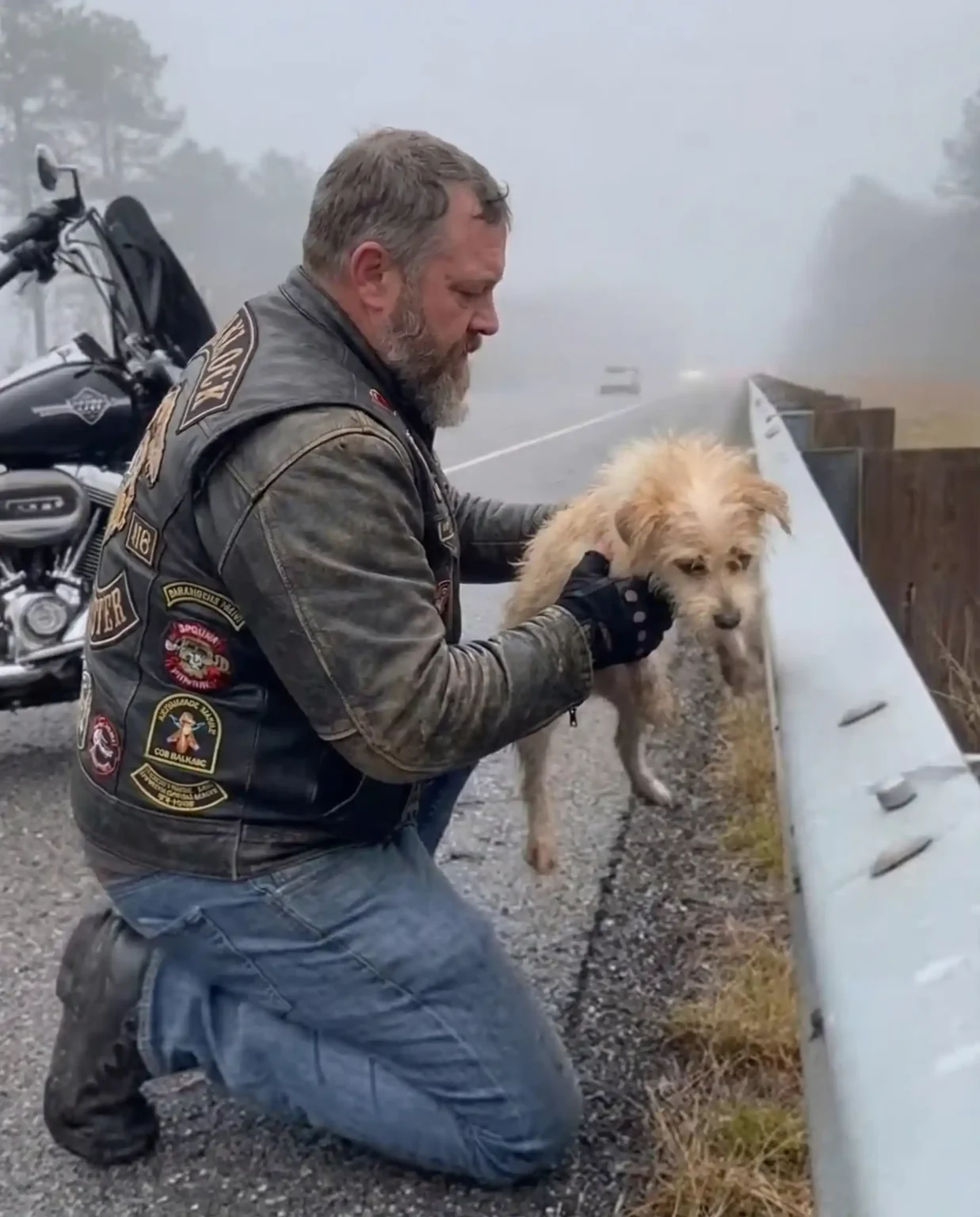 A biker stopped on the highway to save a stray dog—but when he read the collar tag, he fell to his knees and cried.